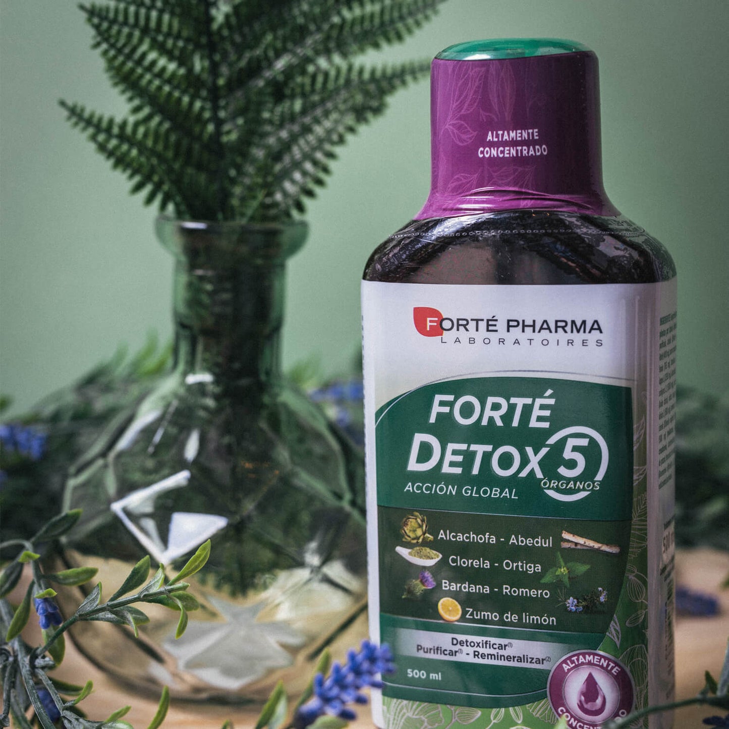 FORTÉ DETOX 5 ORGÃOS