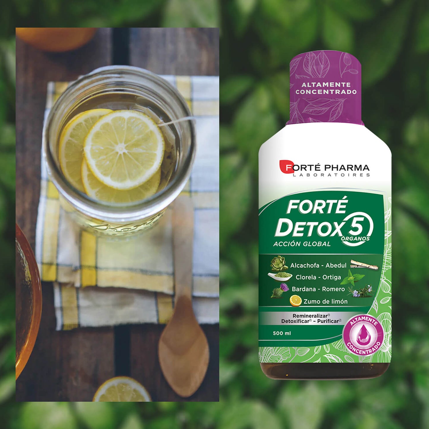 FORTÉ DETOX 5 ORGÃOS